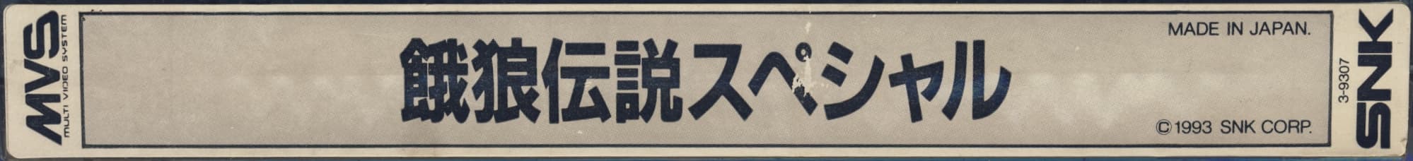 Fatal Fury Special reference photo